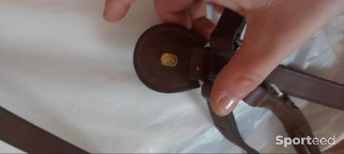 Equitation - Collier de chasse avec martingale - photo 3