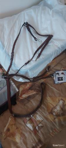 Equitation - Collier de chasse avec martingale - photo 3