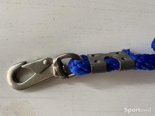 Equitation - Longe bleue - photo 3