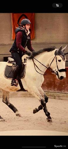 Equitation - Ensemble tapis bonnet gris rose gold - photo 4