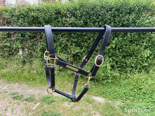 Equitation - Licol cuir cob - photo 4