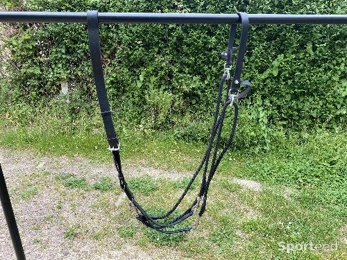 Equitation - Gogue cuir noir Cheval - photo 4