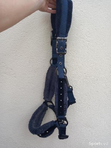 Equitation - Licol moumoute - photo 4