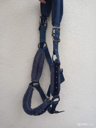 Equitation - Licol moumoute - photo 4