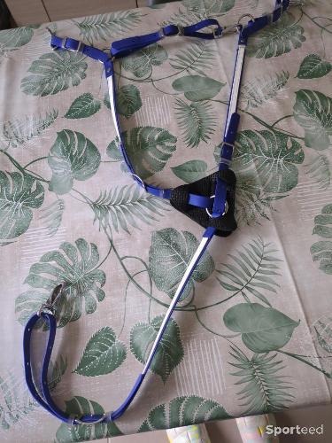 Equitation - Collier de chasse sp France  - photo 3