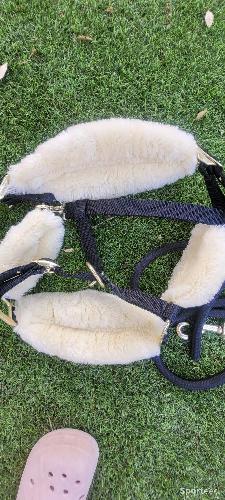 Equitation - Licol et longe kentucky taille Cob - photo 6