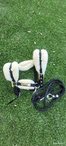 Equitation - Licol et longe kentucky taille Cob - photo 6