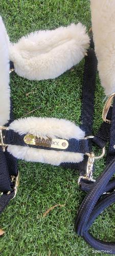 Equitation - Licol et longe kentucky taille Cob - photo 6