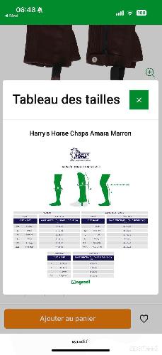 Equitation - Chaps neuves marron Harry’s Horse  - photo 6