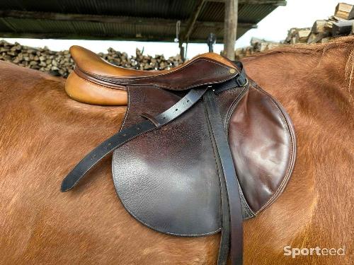 Equitation - Selle d’équitation  - photo 6