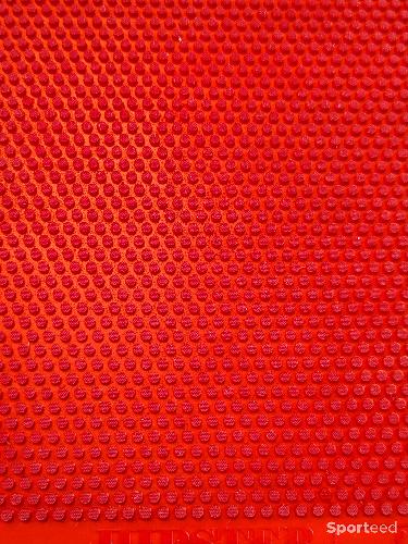 Tennis de table - Sauer & Tröger Hipster rouge 1.5 mm – picot court offensif - photo 5