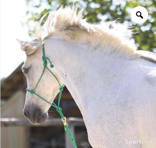 Equitation - Licol vahana pro et longe 3,70m pro - photo 3
