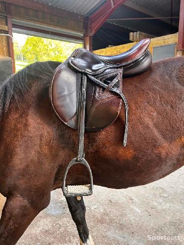 Equitation - Selle okles - photo 6