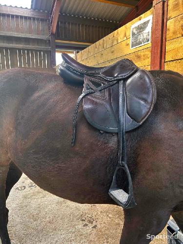 Equitation - Selle okles - photo 6