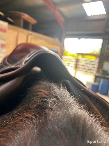 Equitation - Selle okles - photo 6