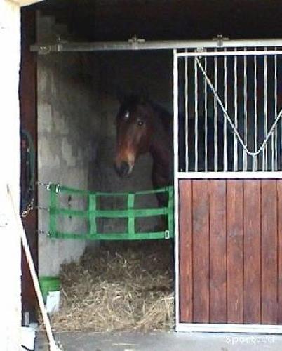 Equitation - Porte de Box Amovible en Polyester - photo 6
