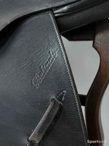 Equitation - Selle cheval  - photo 6