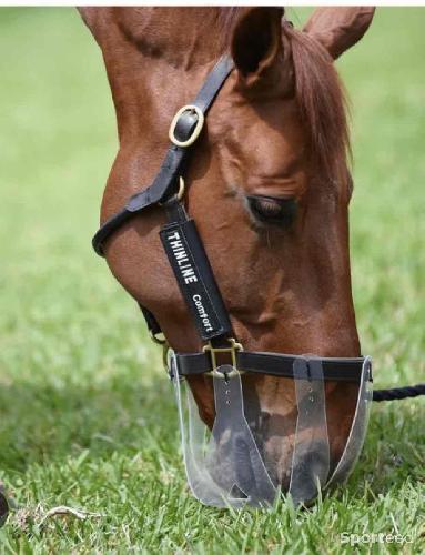 Equitation - Panier + licol Thinline - photo 4
