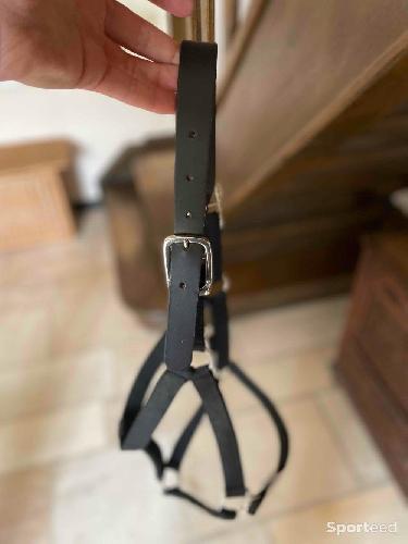 Equitation - Panier + licol Thinline - photo 4