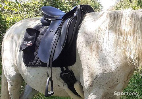 Equitation - Selle de dressage Henri de Rivel 17,5 - photo 6