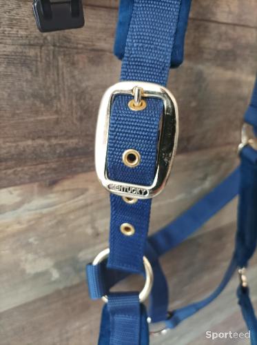 Equitation - Licol kentucky velvet cob - photo 6