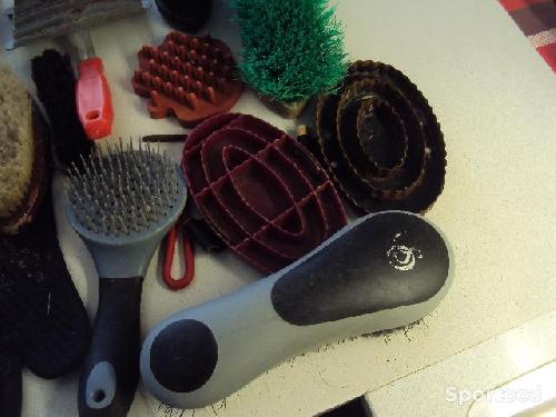 Equitation - lot de brosses - étrilles (plastique et métal) pour chevaux - photo 6