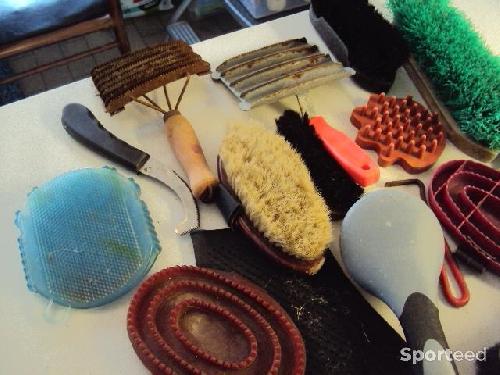 Equitation - lot de brosses - étrilles (plastique et métal) pour chevaux - photo 6