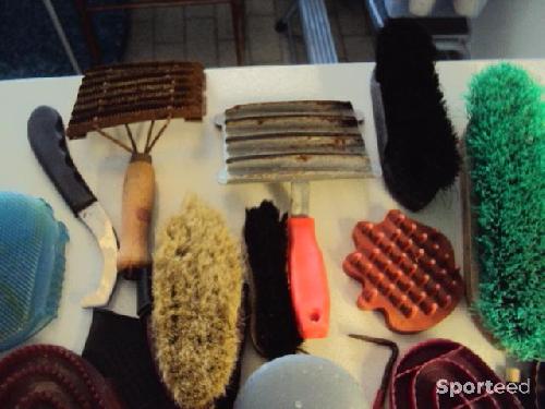 Equitation - lot de brosses - étrilles (plastique et métal) pour chevaux - photo 6