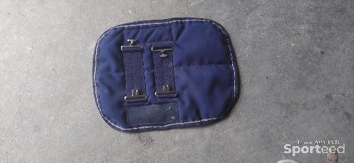 Protège poitrail Kentucky 