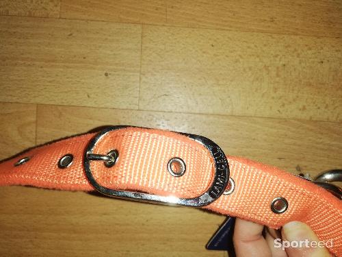 Equitation - Licol + longe lamicell venus orange cheval	 - photo 4