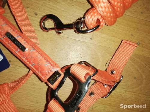 Equitation - Licol + longe lamicell venus orange cheval	 - photo 4