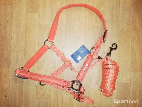 Equitation - Licol + longe lamicell venus orange cheval	 - photo 4