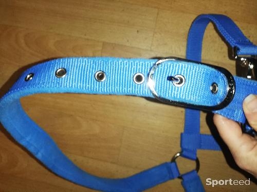 Equitation - Licol + longe lamicell venus bleu ciel cheval	 - photo 4