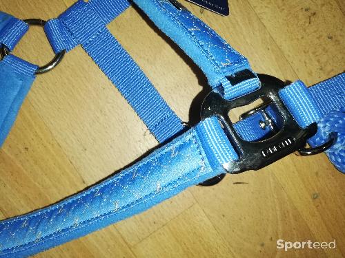 Equitation - Licol + longe lamicell venus bleu ciel cheval	 - photo 4