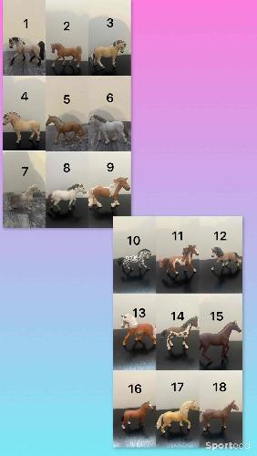 Equitation - Schleichs  - photo 6