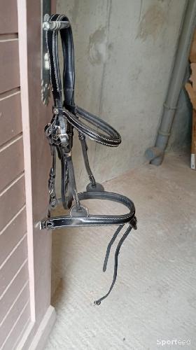 Equitation - Filet pour cheval équitation plus noseband intégré  - photo 4