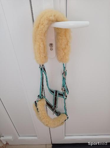 Equitation - Licol eskadron  - photo 6