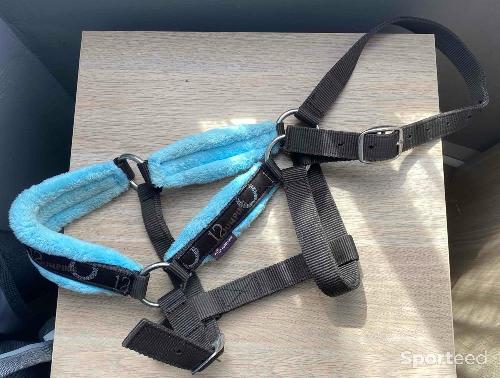 Equitation - Licol taille Cob/ taille 2 - photo 4