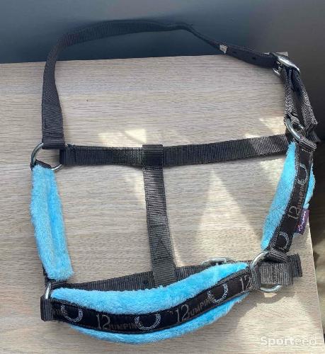 Equitation - Licol taille Cob/ taille 2 - photo 4