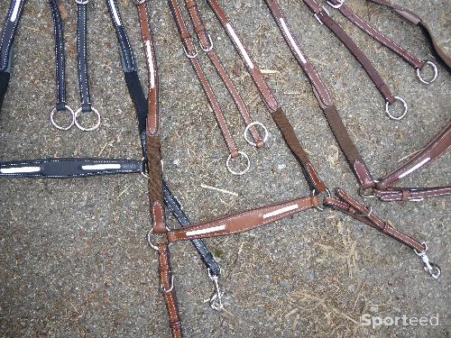 Equitation - Collier de chasse poney/cob/cheval neufs - photo 6