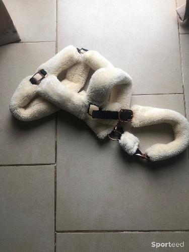 Equitation - Licol mouton  - photo 3