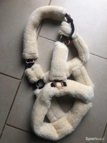 Equitation - Licol mouton  - photo 3