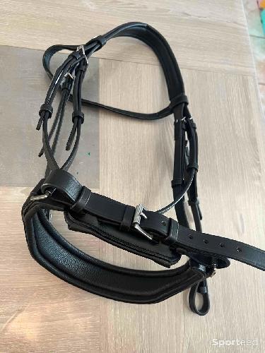 Equitation - Bridon filet Norton PRO CONFORT cheval neuf - photo 6