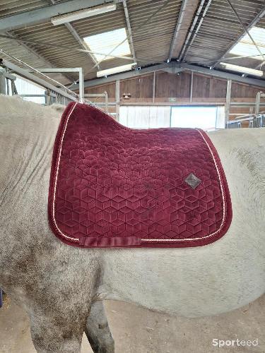 Equitation - Tapis kentucky dressage  - photo 4