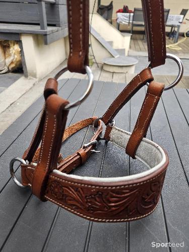 Equitation - Muserolle side pull cuir Artisanale dessinée  - photo 6