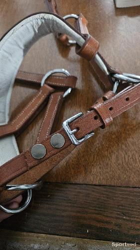Equitation - Muserolle side pull cuir Artisanale dessinée  - photo 6
