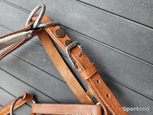 Equitation - Muserolle side pull cuir Artisanale dessinée  - photo 6