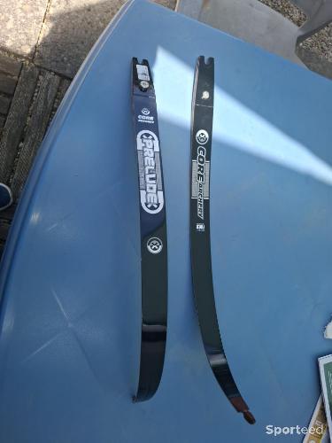 Branches de tir a l arc 