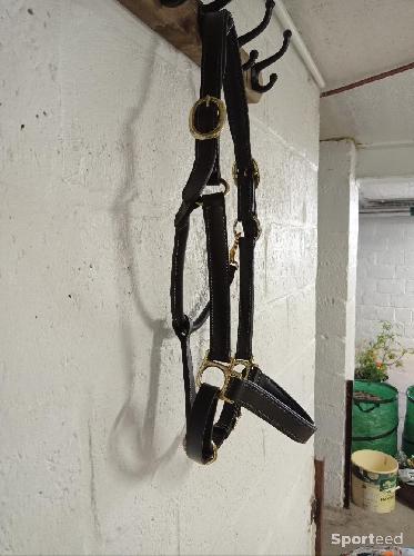 Equitation - Licol cuir noir  - photo 6