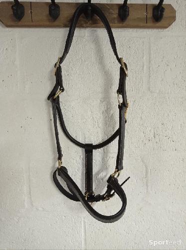 Equitation - Licol cuir noir  - photo 6